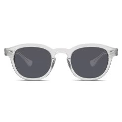 Clear And Smokey Round Horn Rimmed Polarised Sunglasses