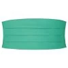 Turquoise Green Basic Cummerbund