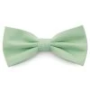 XL Mint Green Basic Pre-Tied Bow Tie