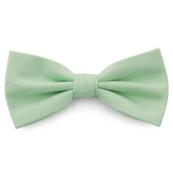 XL Mint Green Basic Pre-Tied Bow Tie