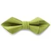 Sea Green Pre-Tied Satin Diamond Tip Bow Tie