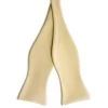 Champagne Self-Tie Grosgrain Bow Tie