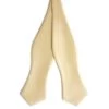 Champagne Self-Tie Satin Diamond Tip Bow Tie