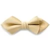 Champagne Pre-Tied Grosgrain Diamond Tip Bow Tie