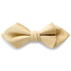 Champagne Pre-Tied Grosgrain Diamond Tip Bow Tie