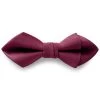 Burgundy Pre-Tied Grosgrain Diamond Tip Bow Tie