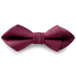 Burgundy Pre-Tied Grosgrain Diamond Tip Bow Tie