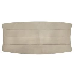 Shiny Champagne Basic Cummerbund