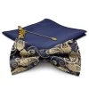 Blue Paisley And Gold-Tone Suit Accessory Set