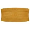 Ocher Yellow Basic Cummerbund