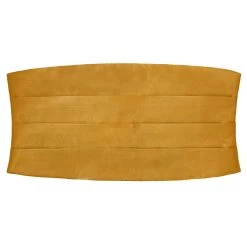 Ocher Yellow Basic Cummerbund