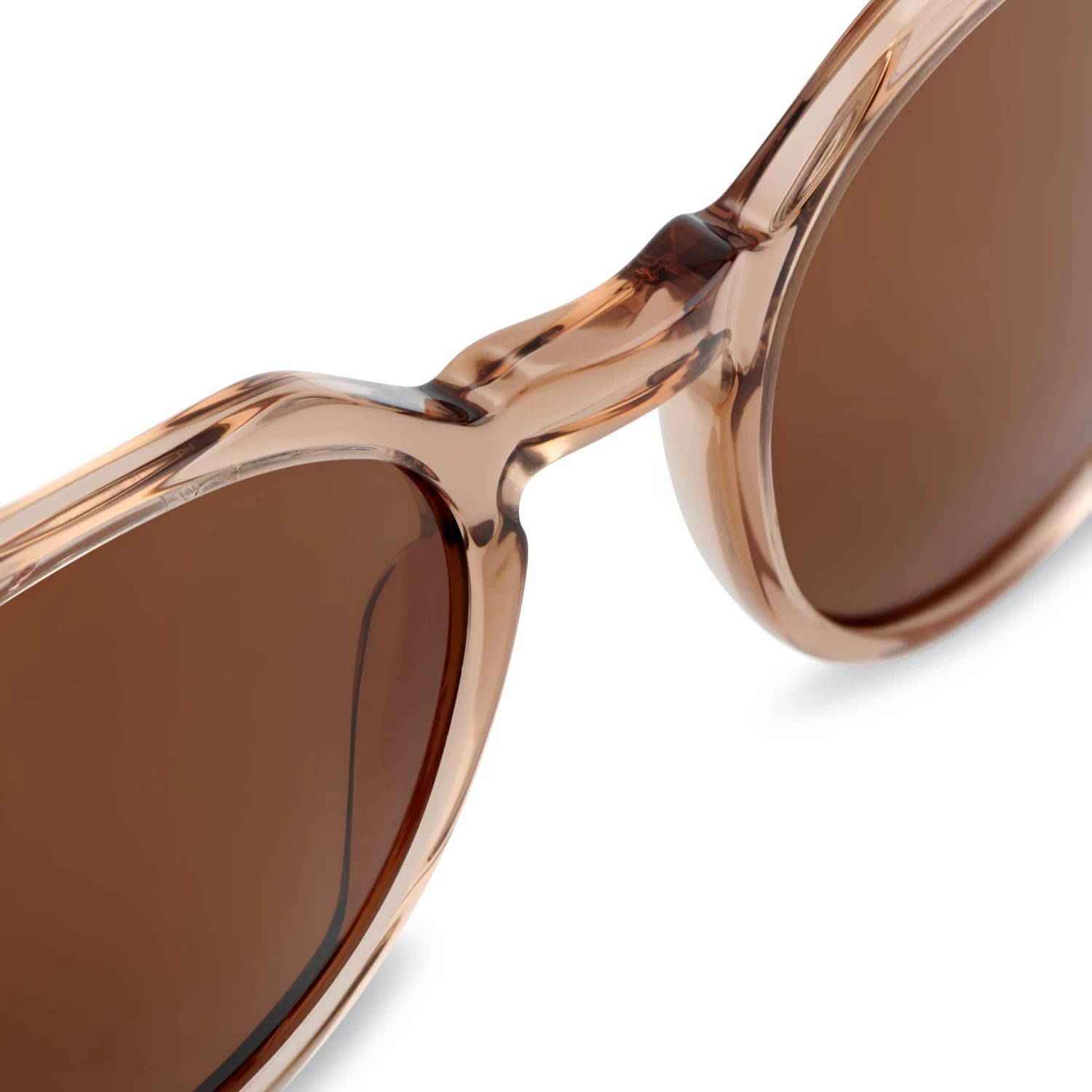 Occasus | Round Translucent Horn-rimmed Polarized Sunglasses - Image 6