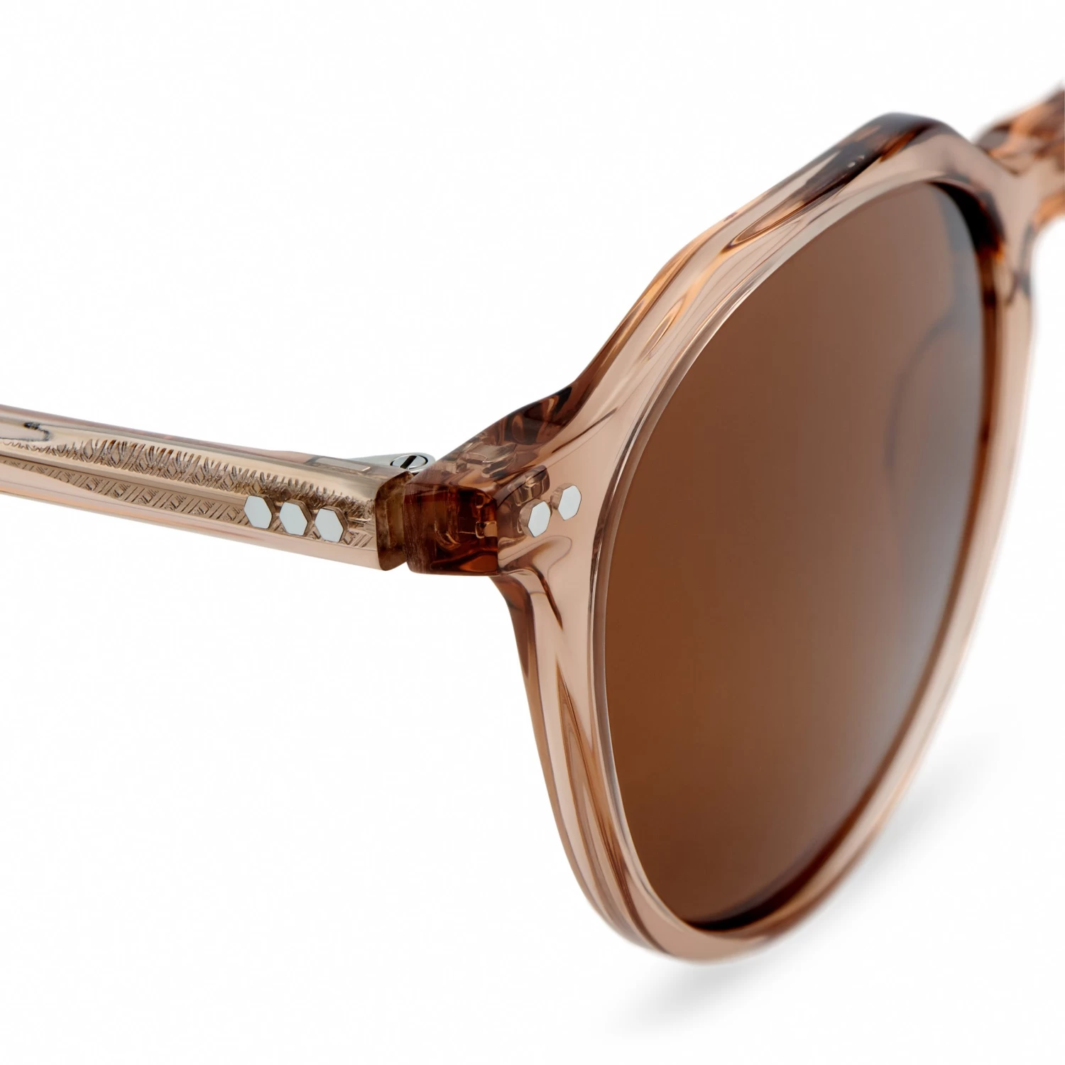 Occasus | Round Translucent Horn-rimmed Polarized Sunglasses - Image 7