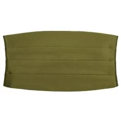 Olive Green Basic Cummerbund