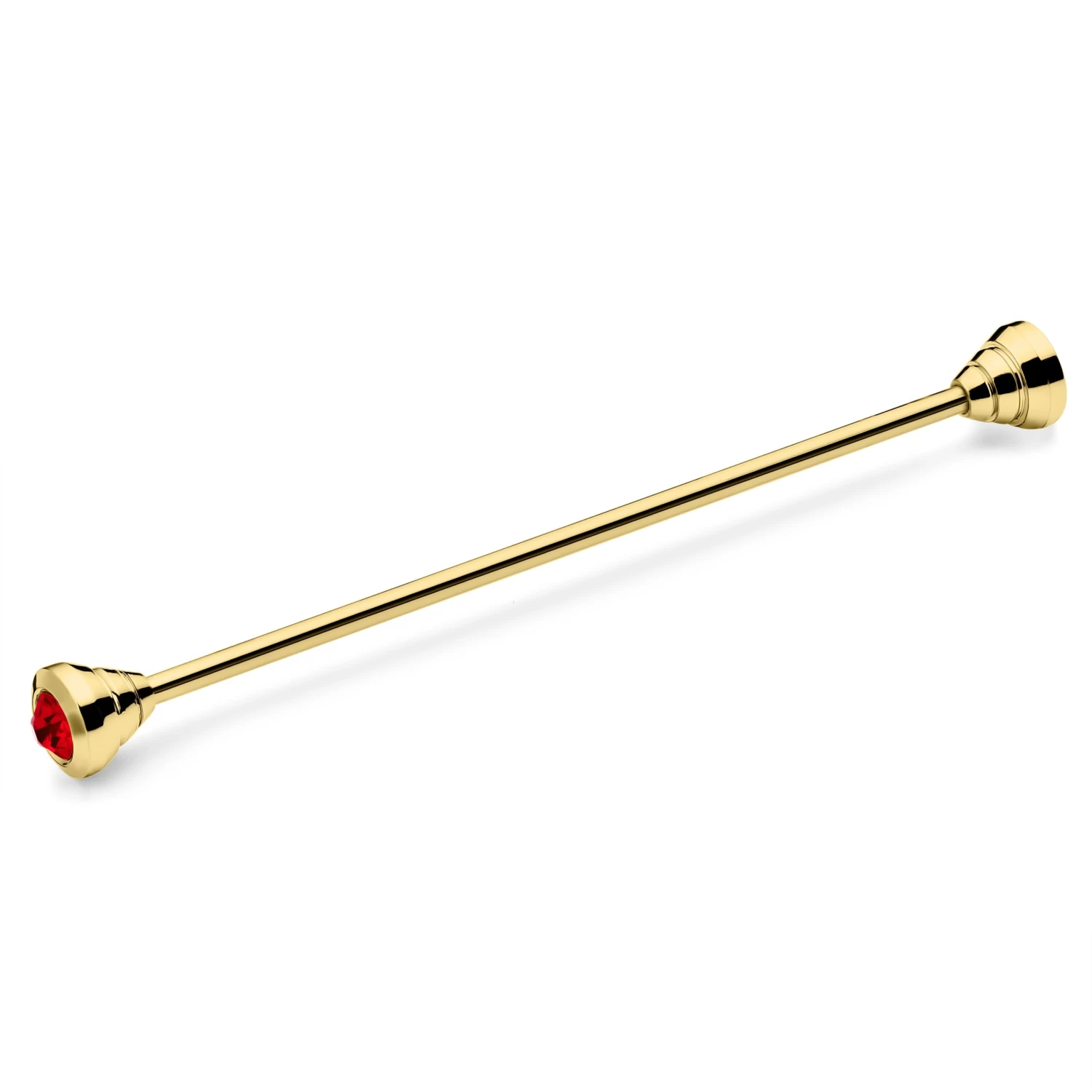 Gold-Tone Collar Bar With Red Zirconia