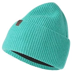 Hiems | Mint Recycled Wool Cuffed Beanie