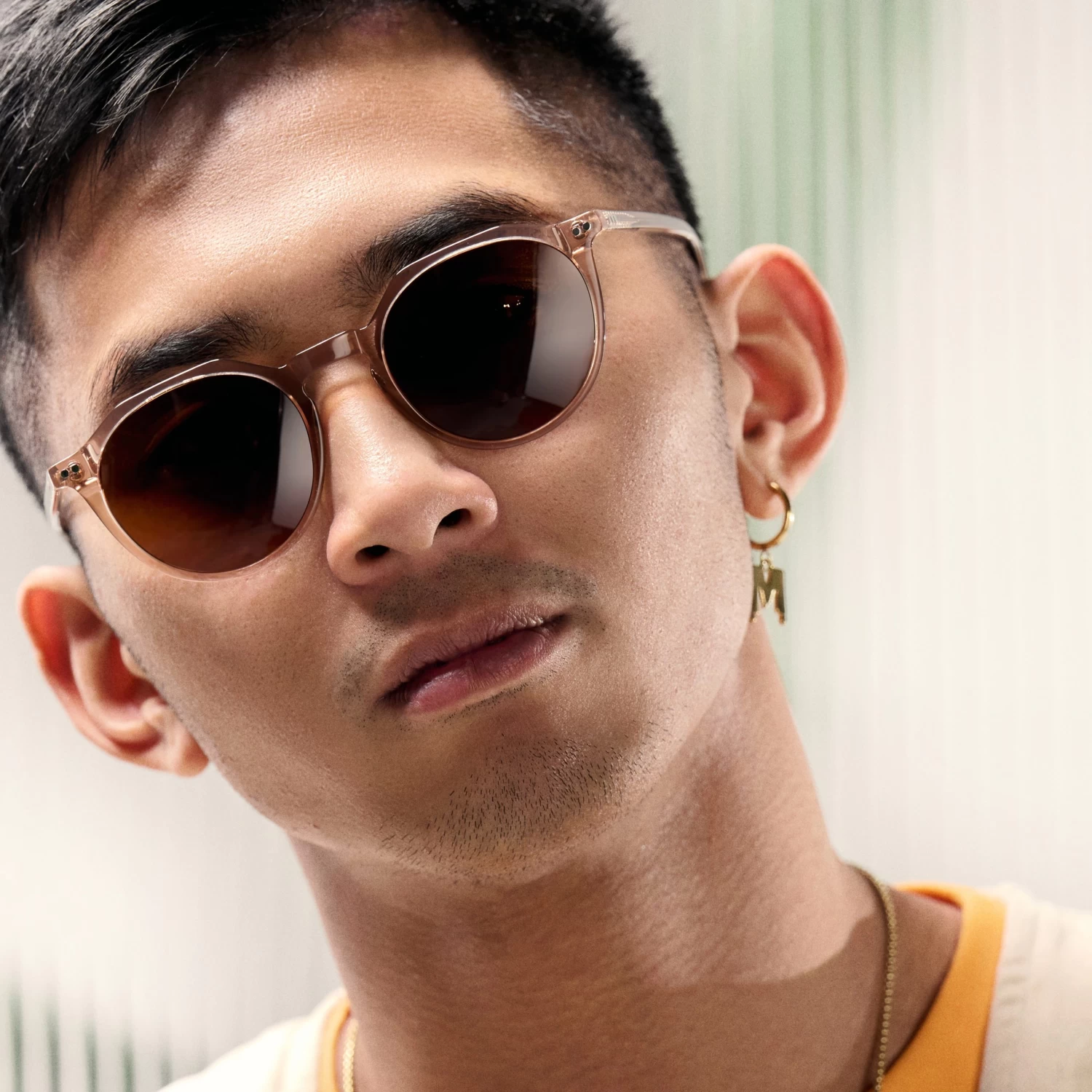 Occasus | Round Translucent Horn-rimmed Polarized Sunglasses - Image 2